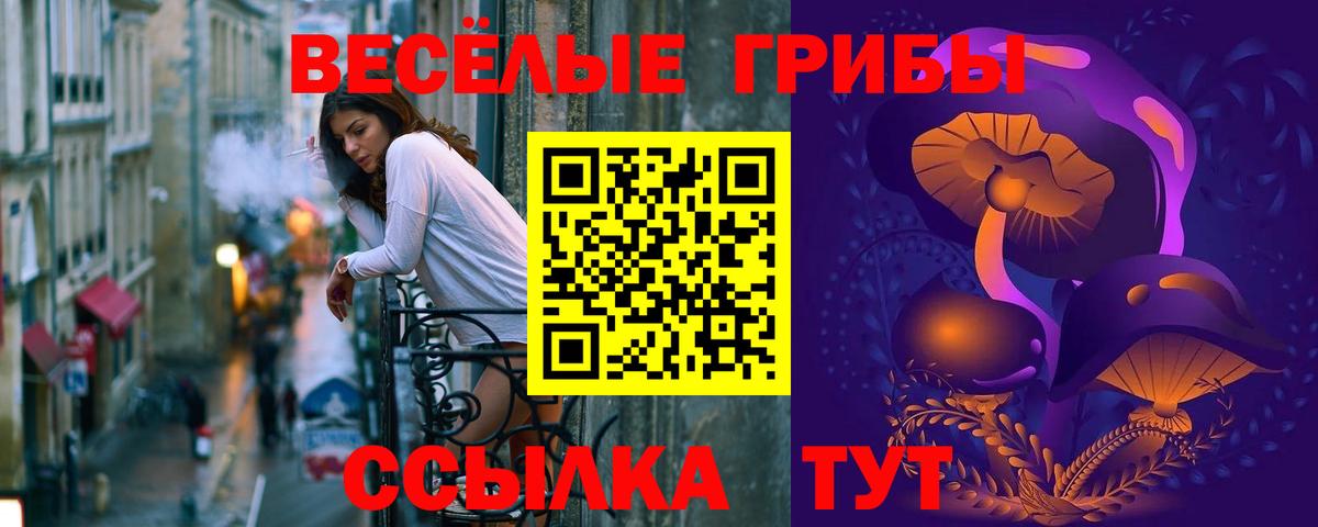 Галлюциногенные грибы Magic Shrooms Тамбов